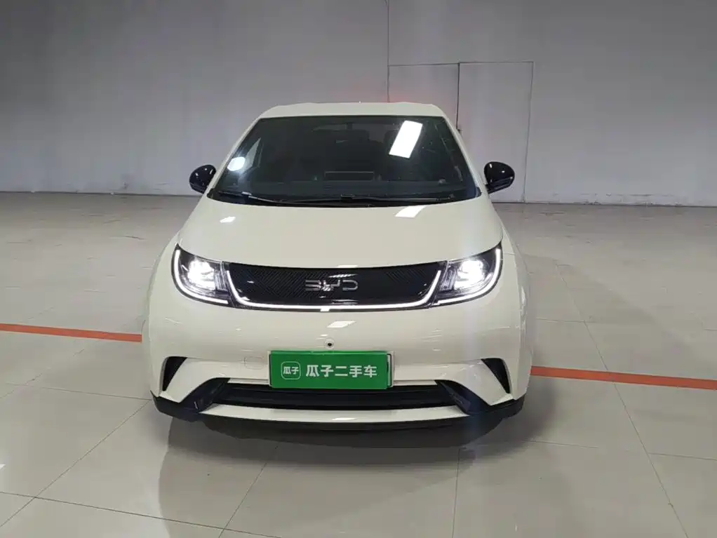 BYD Dolphin — миниатюра 3