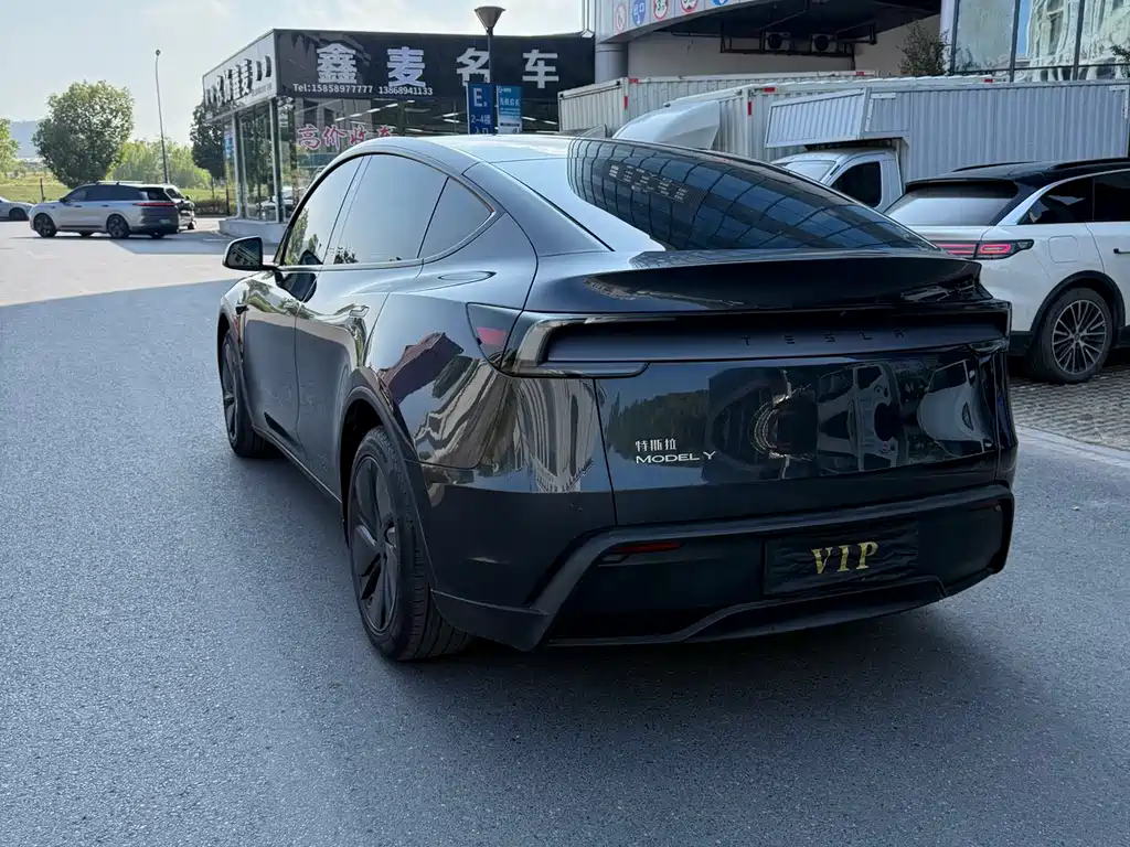 Tesla Model Y — миниатюра 6