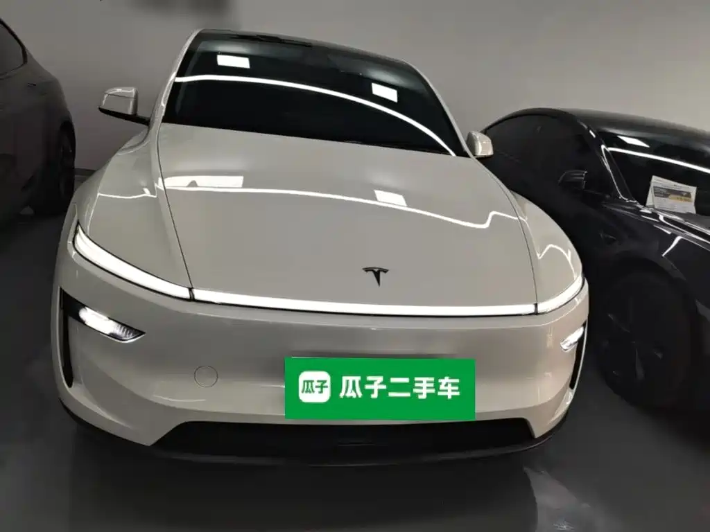 Tesla Model Y — миниатюра 3