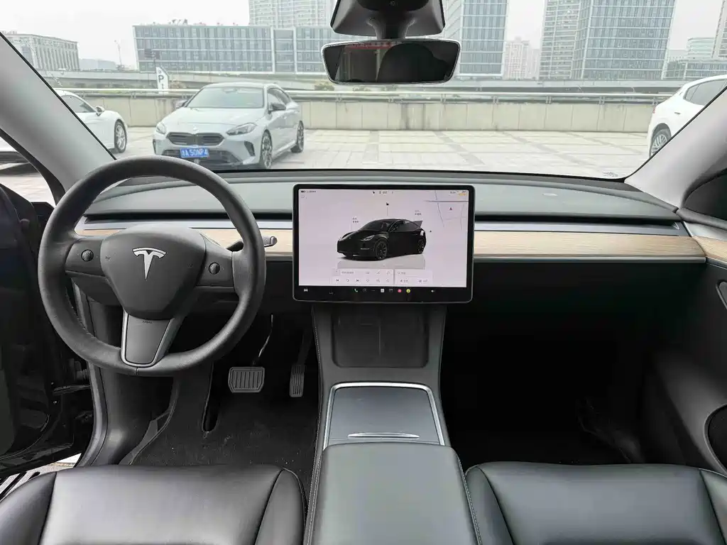 Tesla Model Y — миниатюра 7