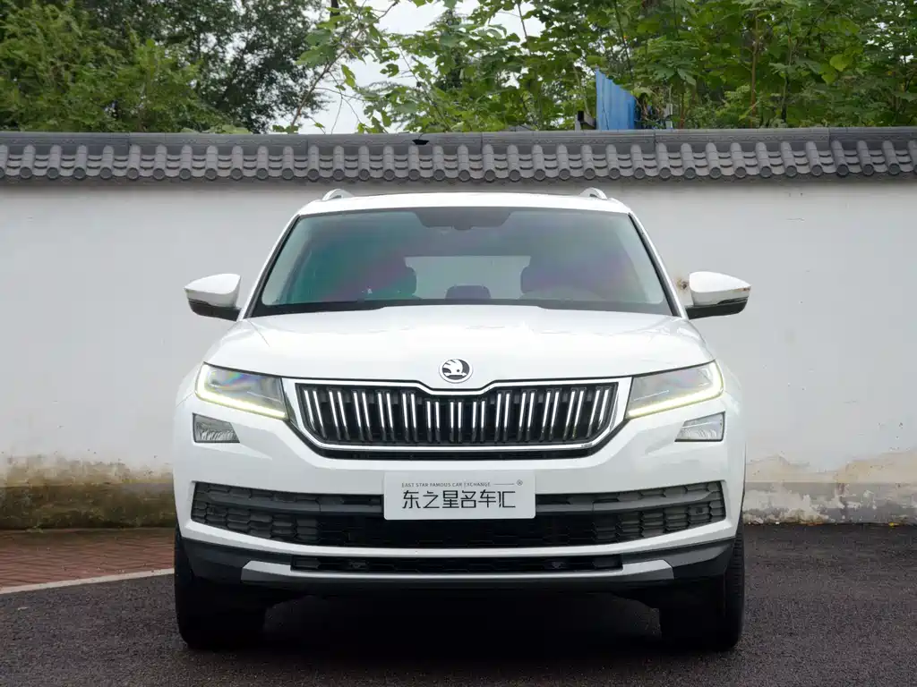Skoda Kodiaq — миниатюра 2