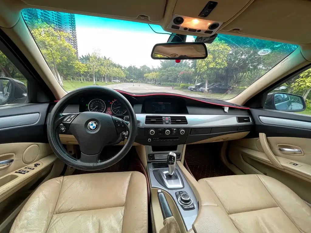 BMW 5 Series 5 2009 523Li Lead