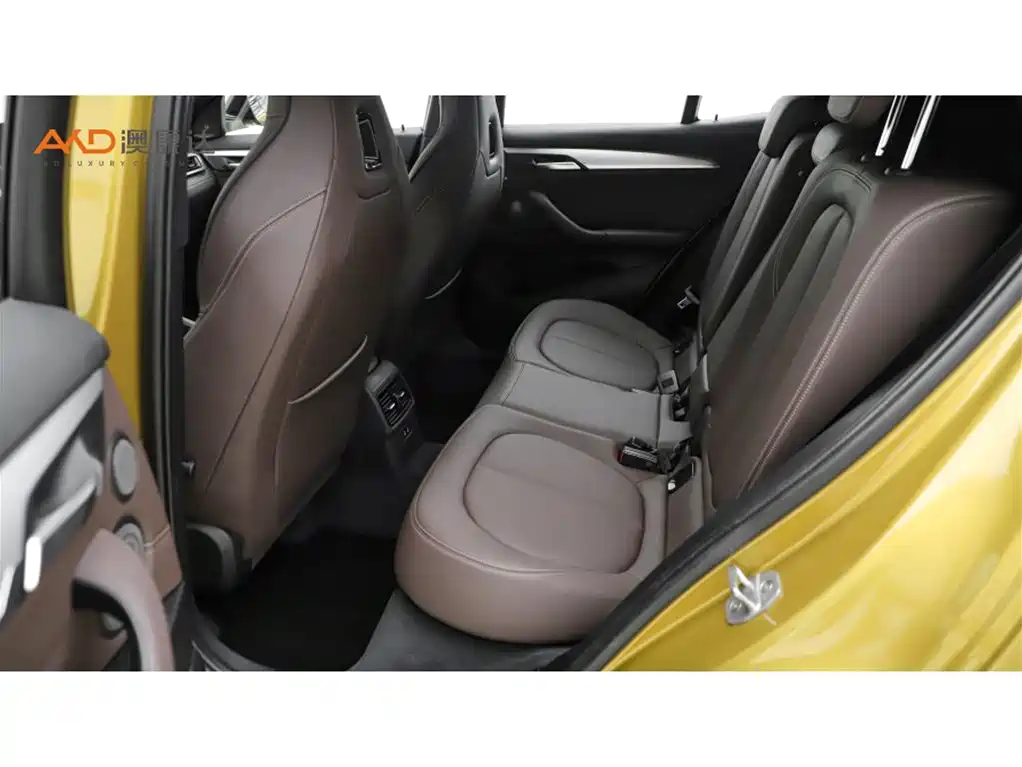 BMW X2 2020 sDrive25i Premium M Sport