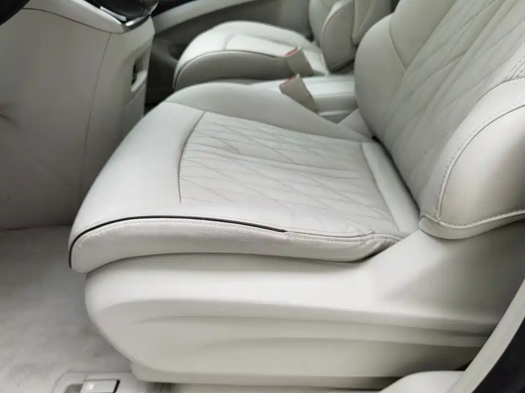 Buick GL8 — миниатюра 20