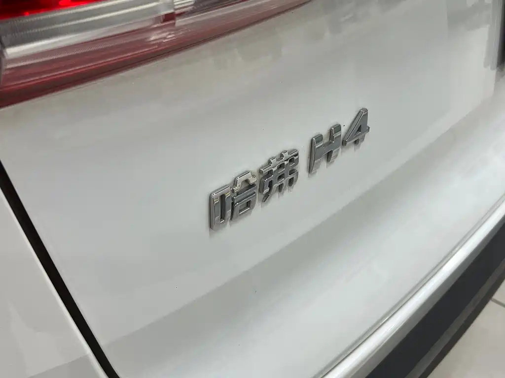 Haval H4 — миниатюра 9