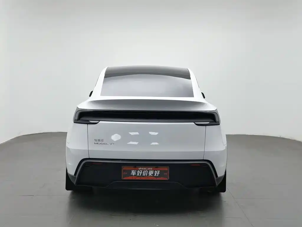 Tesla Model Y — миниатюра 4