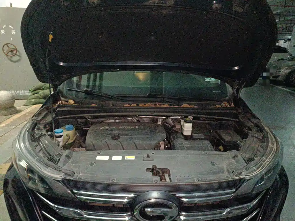 GAC Motor Trumpchi M6 — миниатюра 11