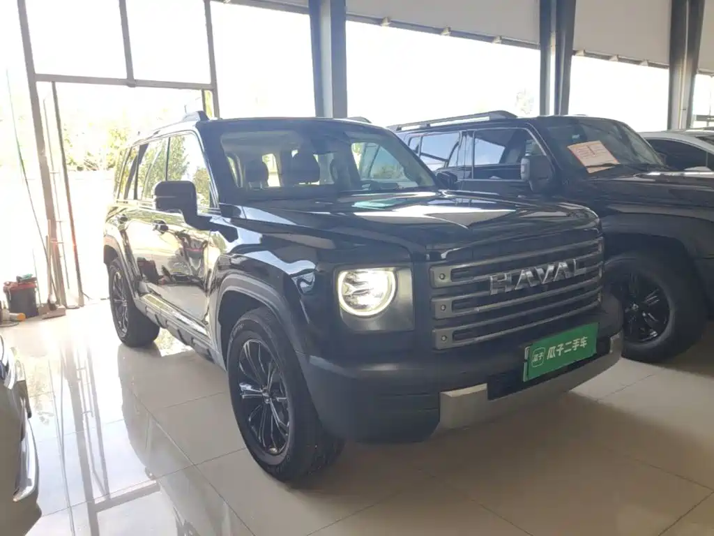 Haval Menglong New Energy — миниатюра 4