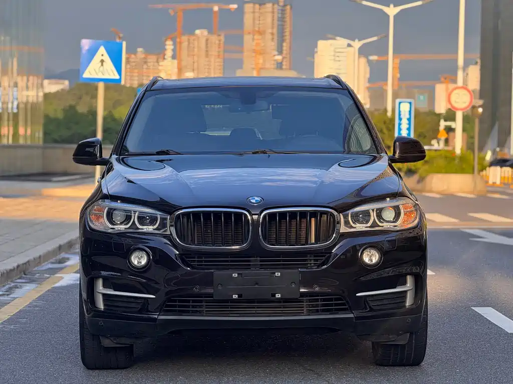 BMW X5 (Import) — миниатюра 2