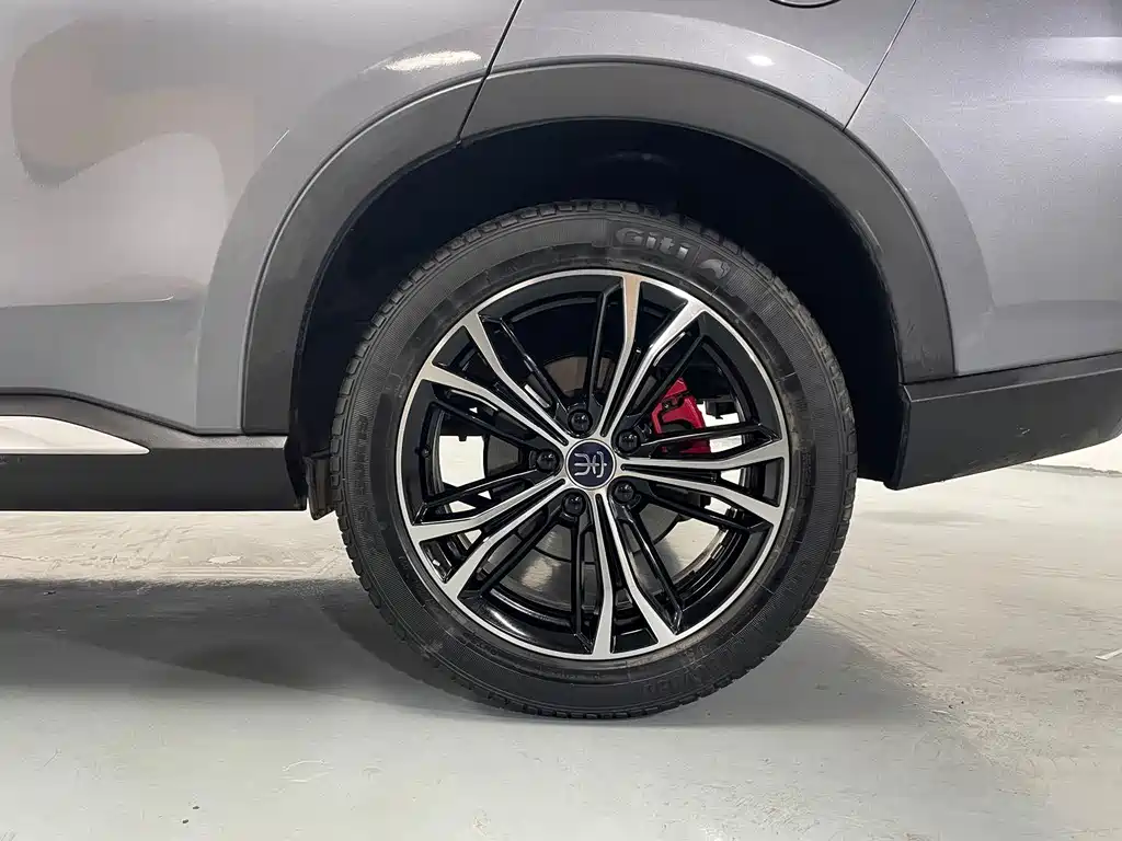 BYD PLUS — миниатюра 19
