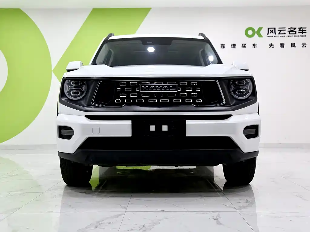 HAVAL SECOND GENERATION BIG DOG