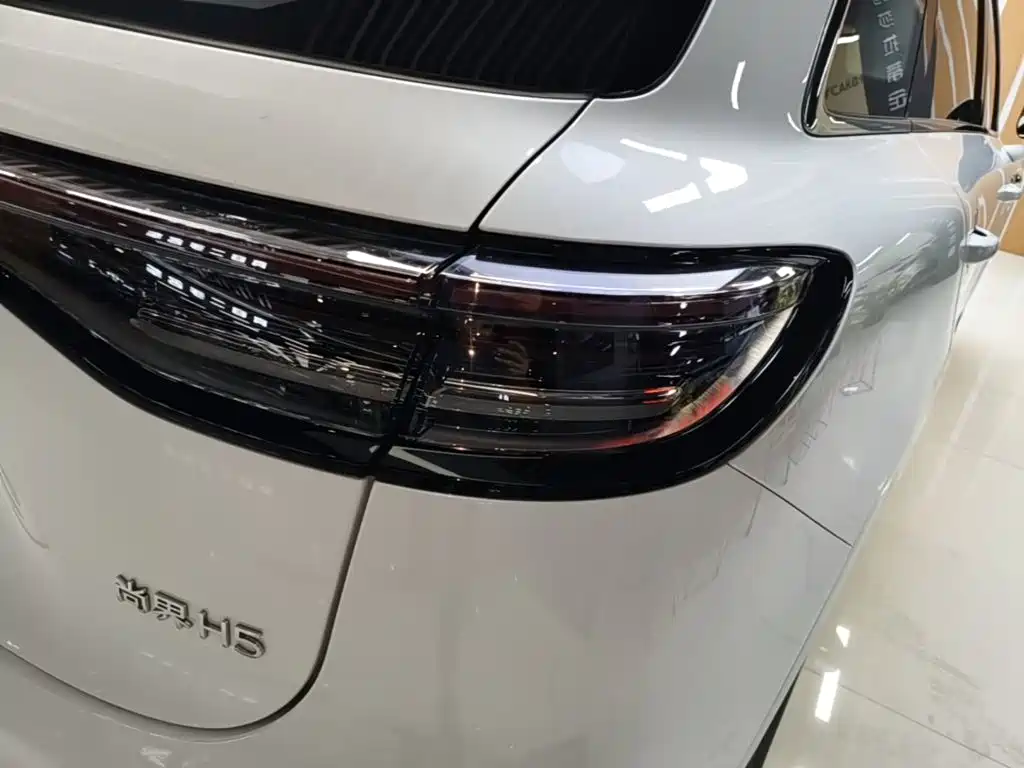 Shangjie Shangjie H5 — миниатюра 8