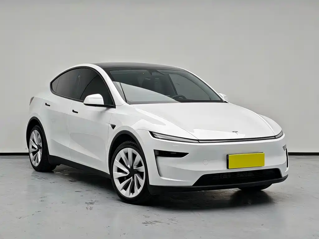 Tesla Model Y — миниатюра 3