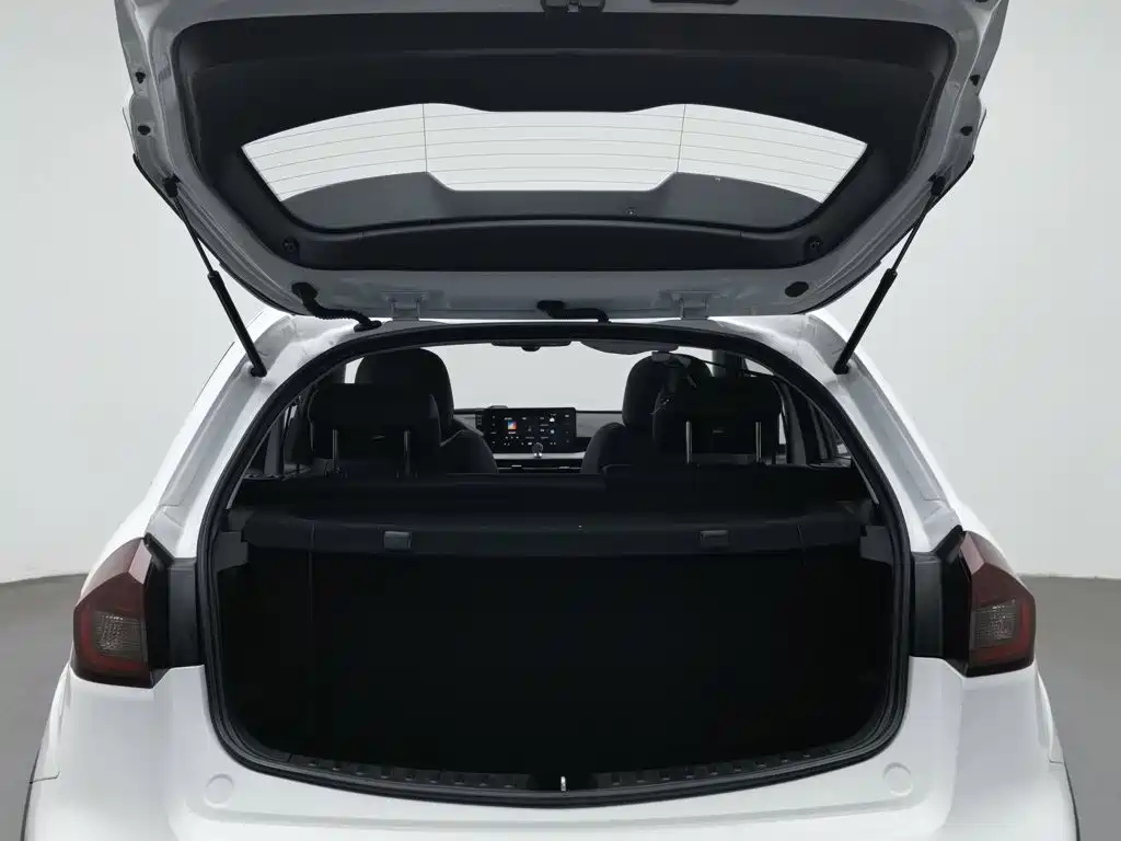 Geely Vision X3 — миниатюра 16