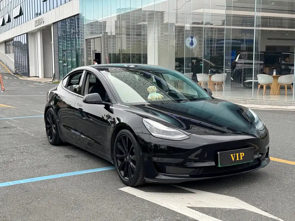 Tesla Model 3 — миниатюра 3