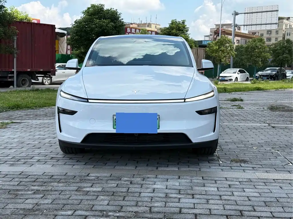 Tesla Model Y — миниатюра 2