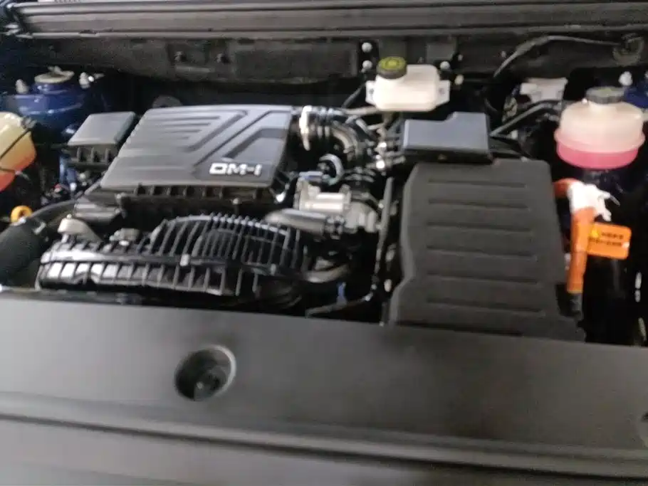 BYD SONGJIANG NEW ENERGY