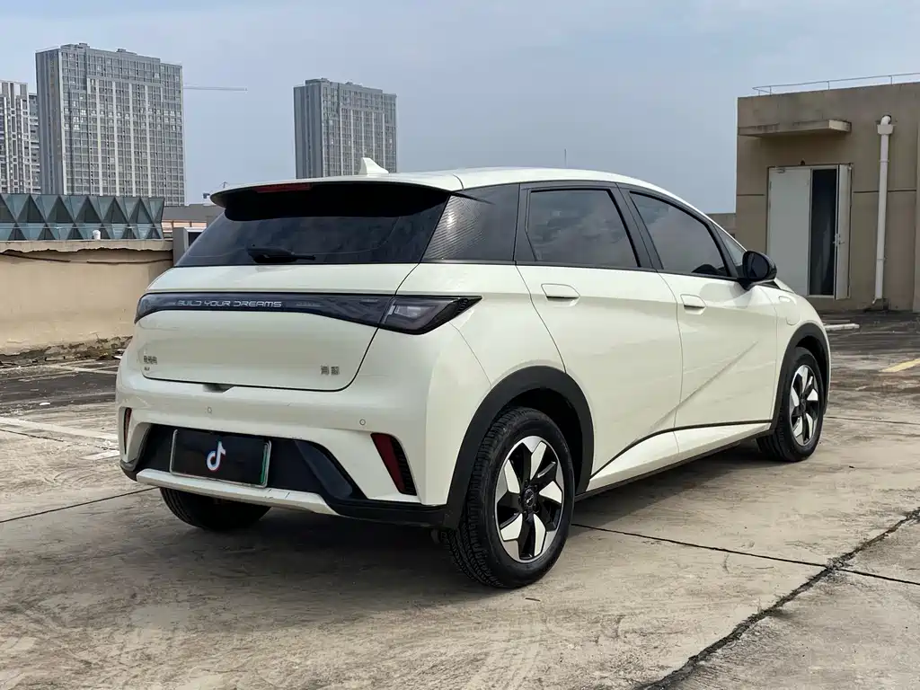 BYD Dolphin — миниатюра 4