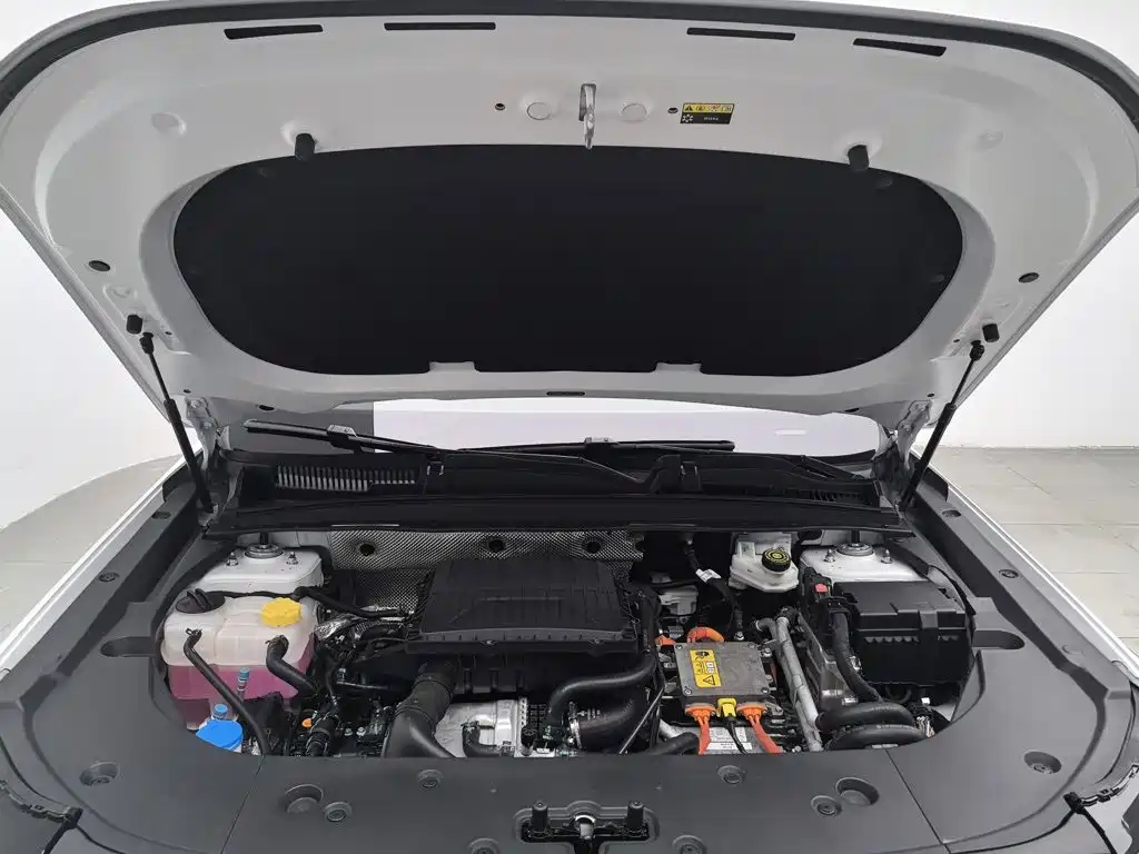 Chery C-DM — миниатюра 6