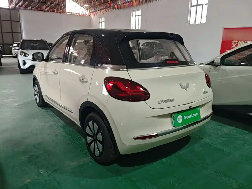 Wuling Binguo 2025 333km Enjoy