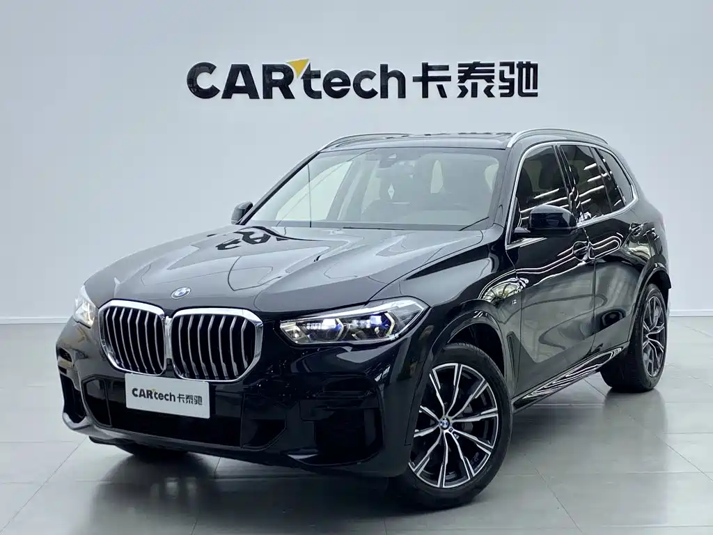 BMW X5 (Import) — миниатюра 11