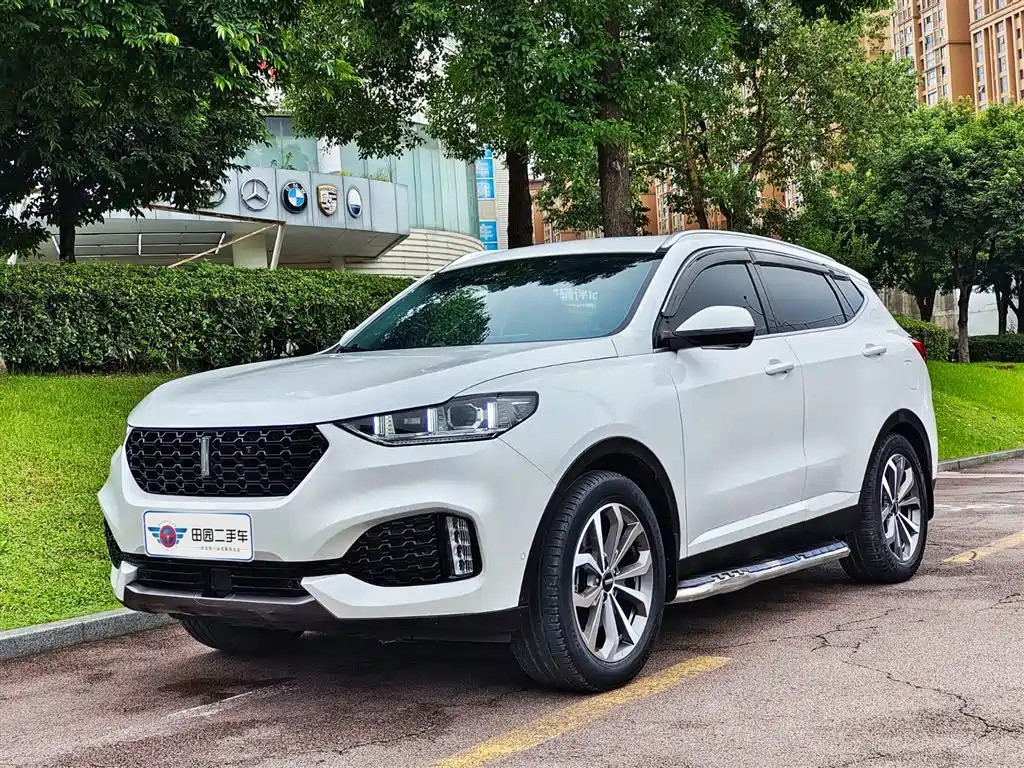 WEI PAI WEI BRAND VV6