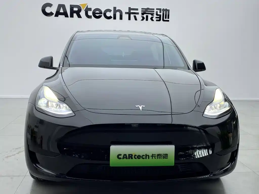 Tesla Model Y — миниатюра 10