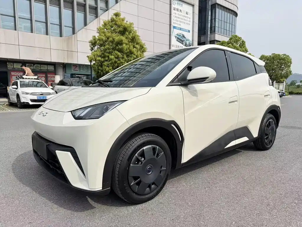 Byd Seagull 2024