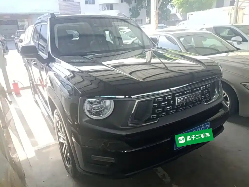 Haval Big Dog PLUS — миниатюра 4