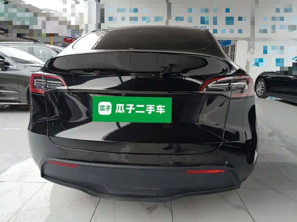 Tesla Model Y — миниатюра 6