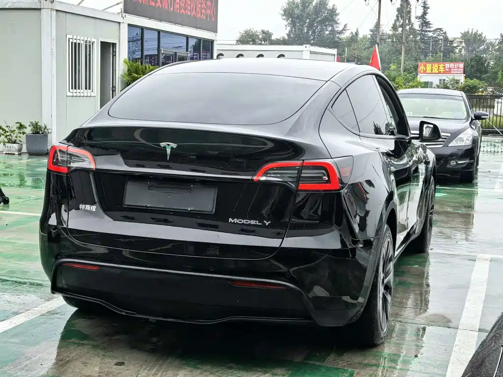 Tesla Model Y — миниатюра 22