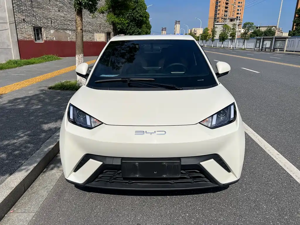 BYD Seagull
