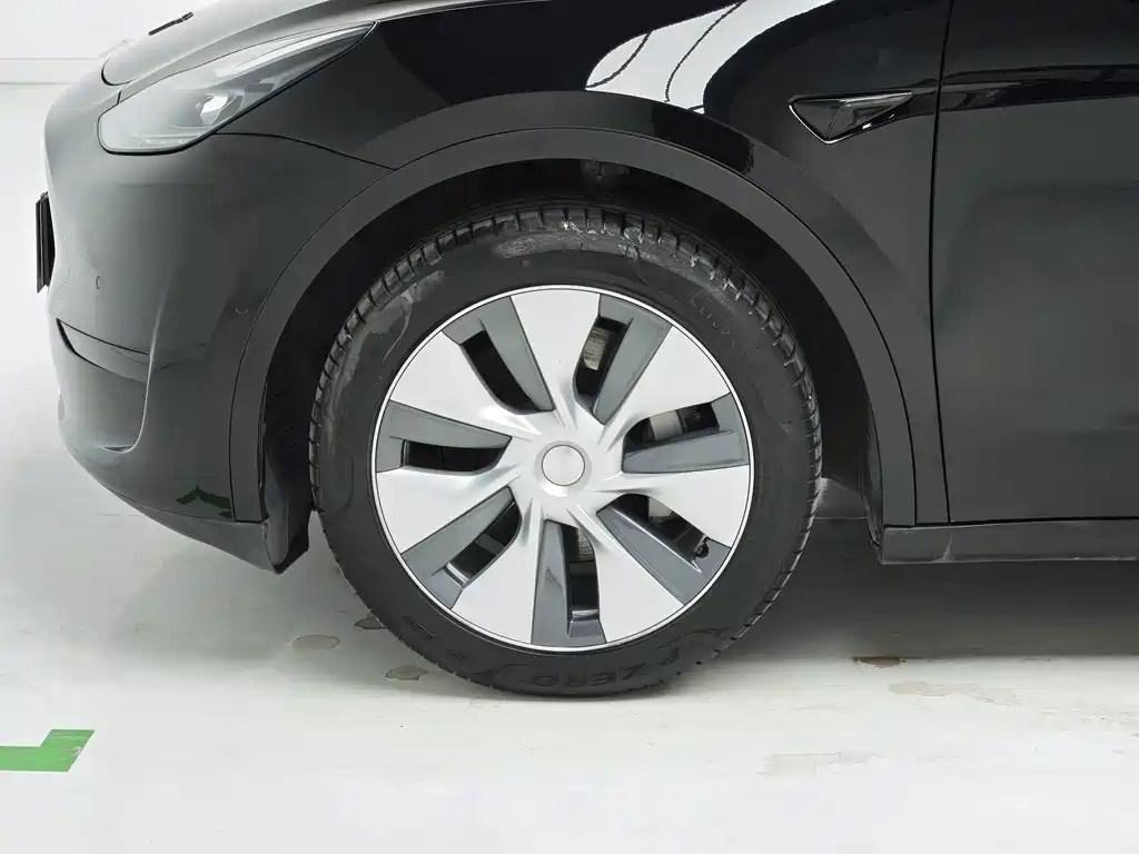 Tesla Model Y — миниатюра 8
