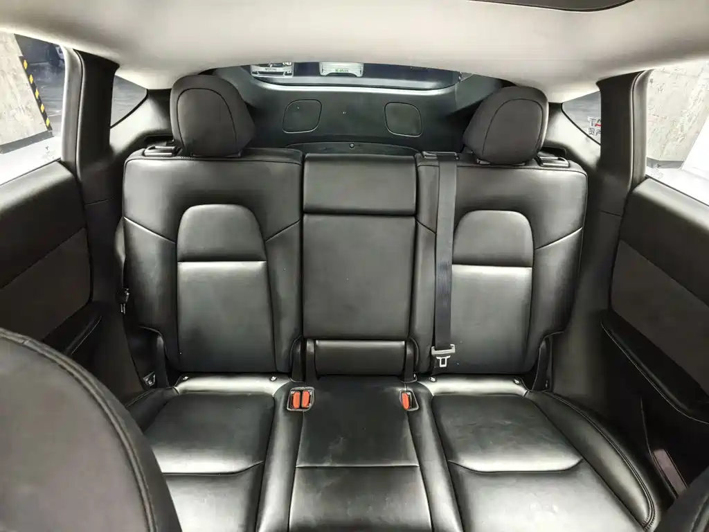 Tesla Model Y — миниатюра 16