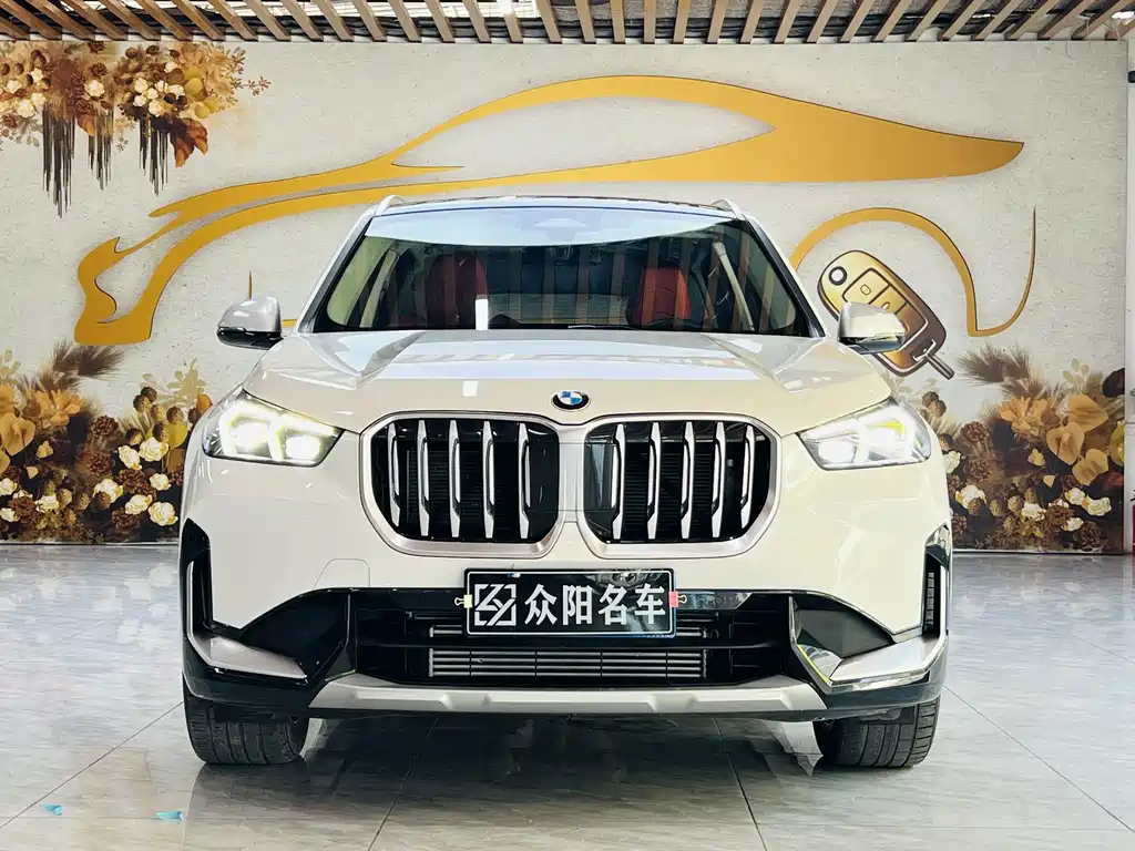 BMW X1 — миниатюра 2