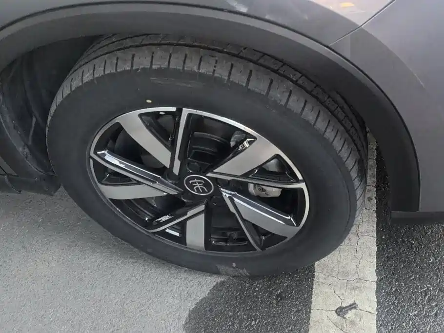 BYD Pro New Energy — миниатюра 6