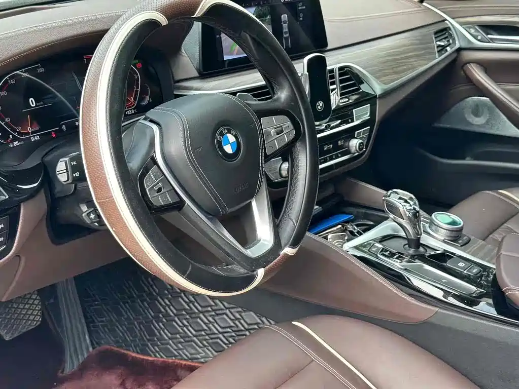BMW 5 Series 5 2020 530Li Lead Luxury