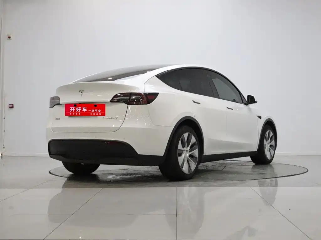 Tesla Model Y — миниатюра 4