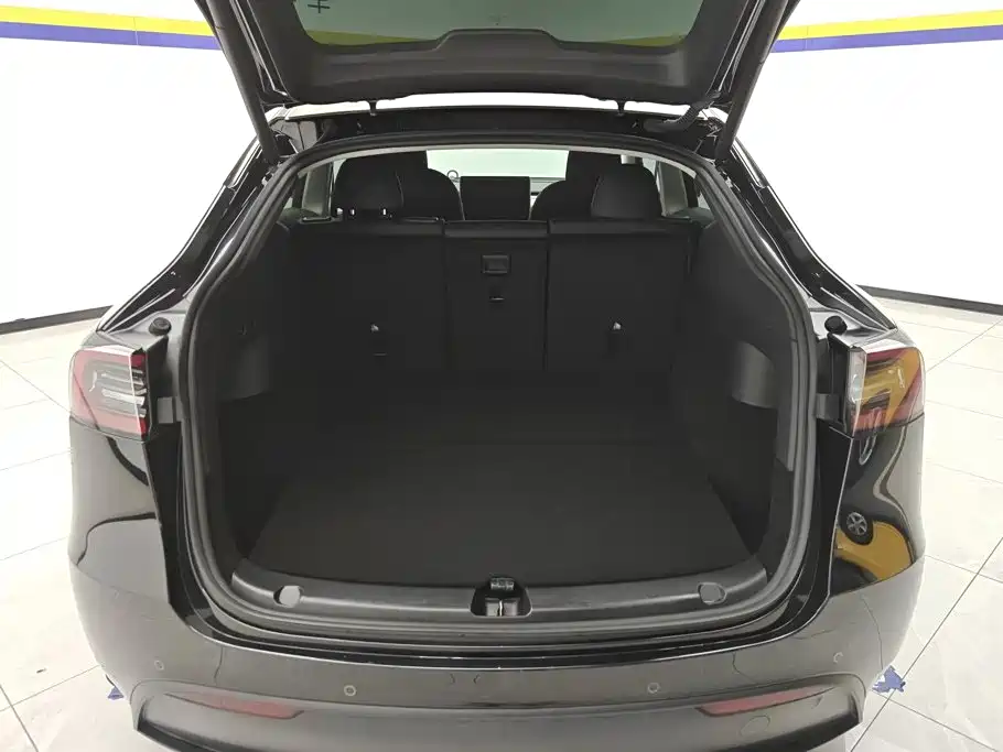 Tesla Model Y — миниатюра 4