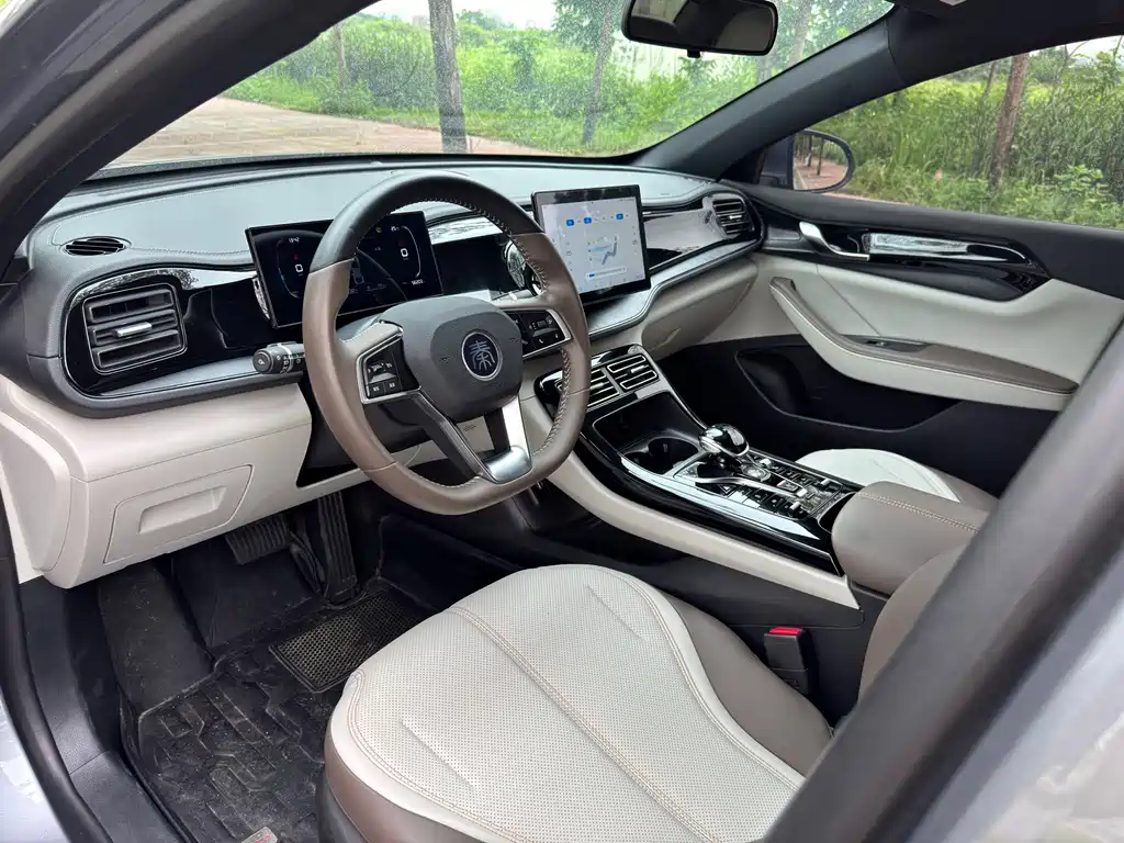 BYD Qin Plus PLUS 2024 DM-i 55KM Lead