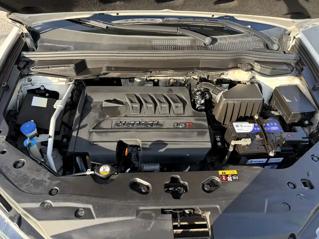 Haval H6 Coupe — миниатюра 16