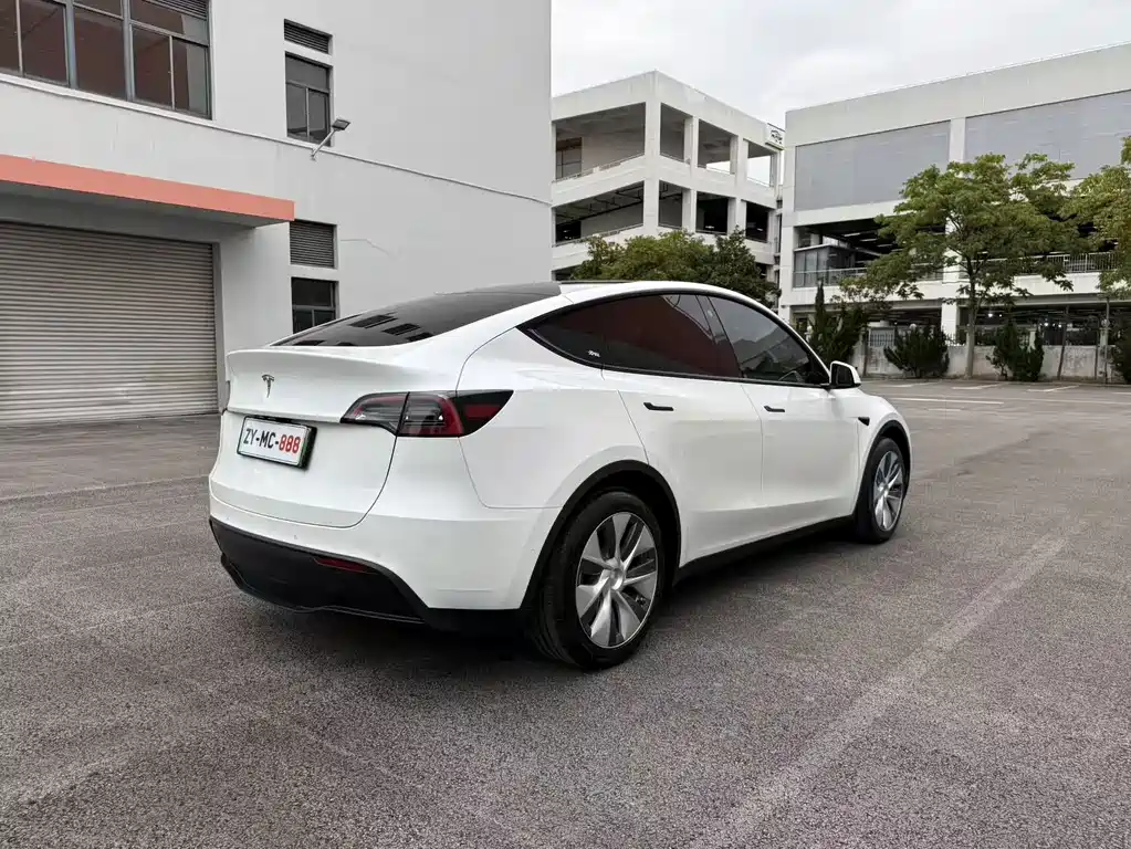 Tesla Model Y — миниатюра 11