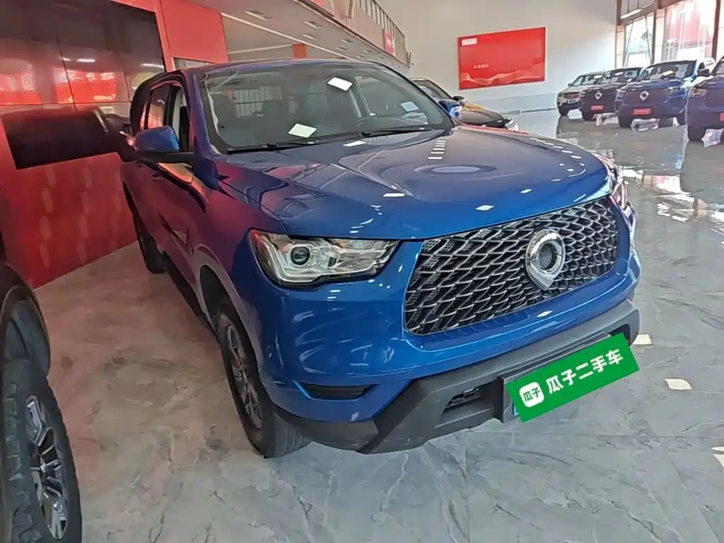 Great Wall Pao — миниатюра 4