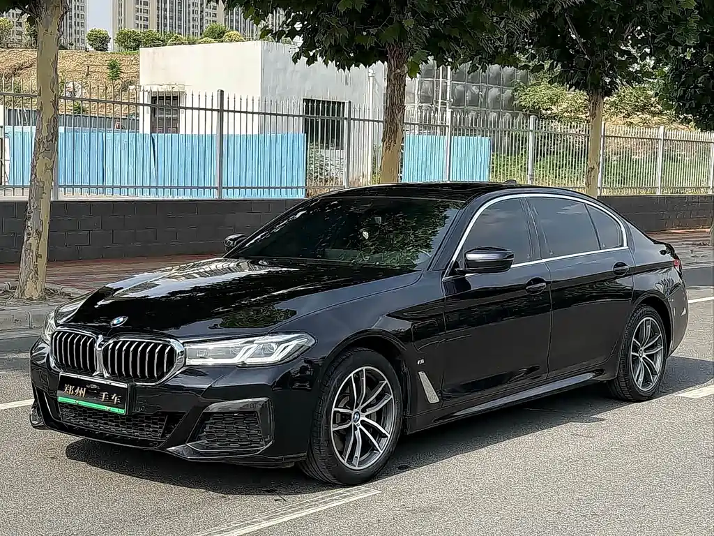 BMW 5 Series New Energy