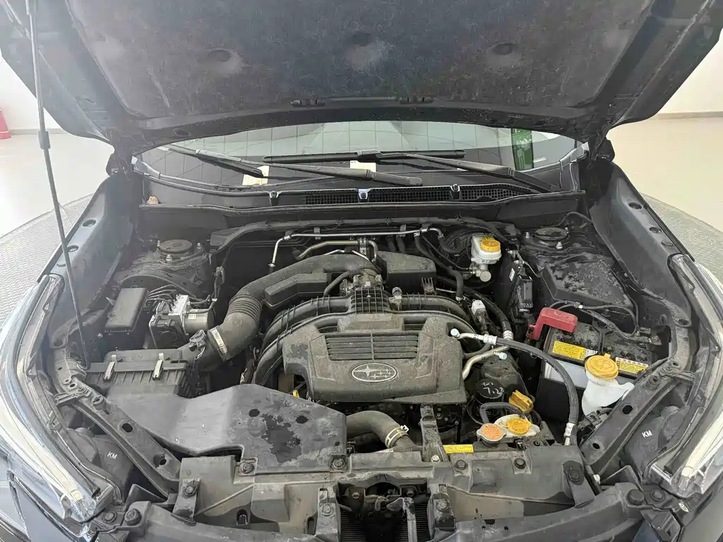 Subaru Forester — миниатюра 23