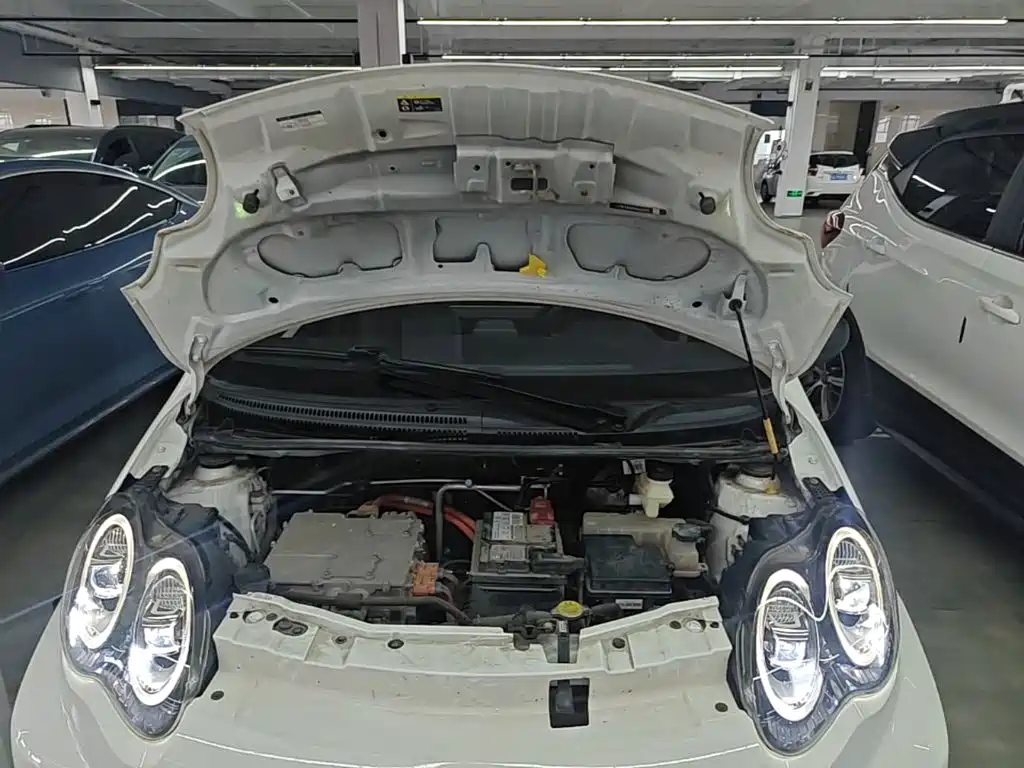 BYD e1 — миниатюра 20