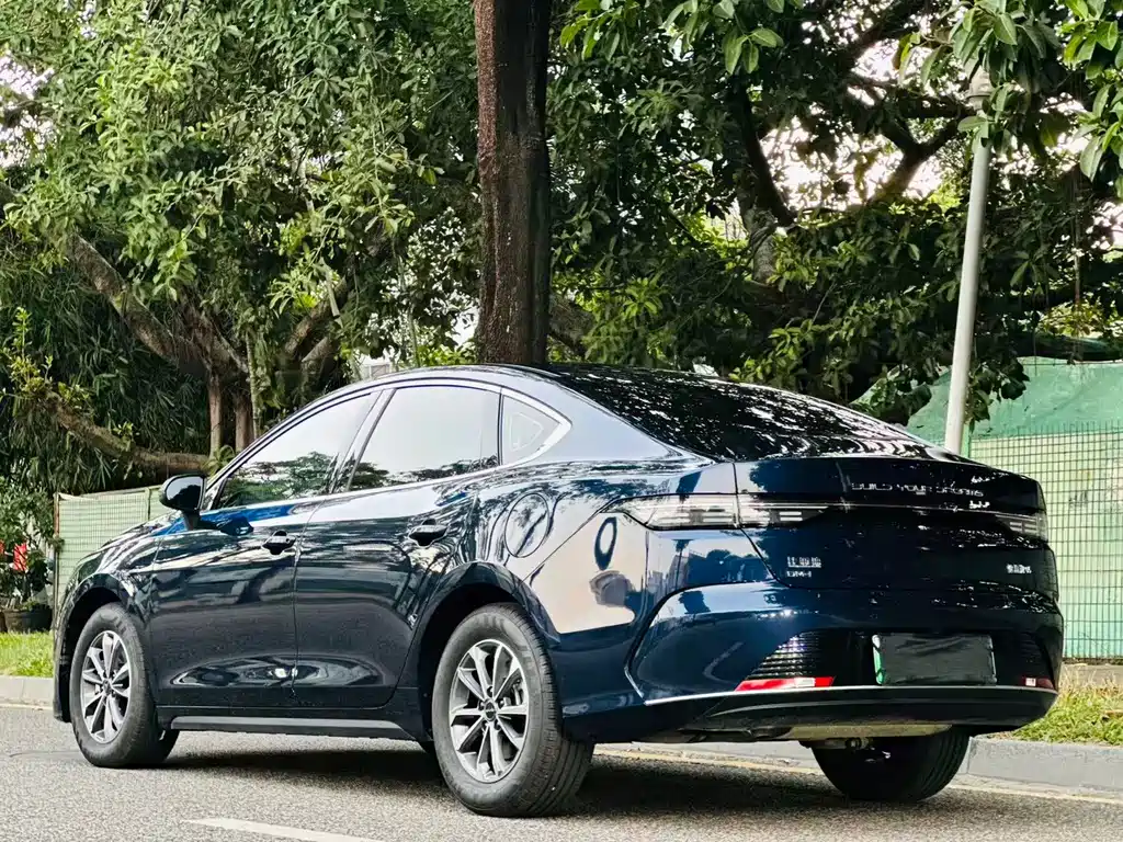 BYD Destroyer 05 — миниатюра 4