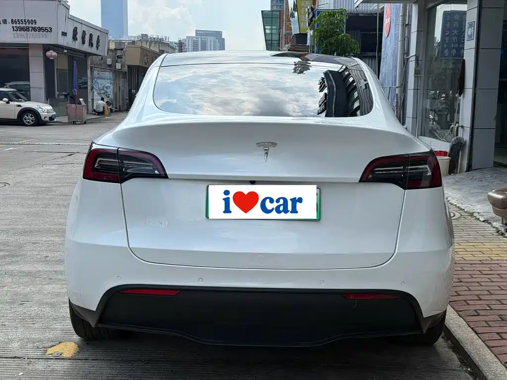Tesla Model Y — миниатюра 4