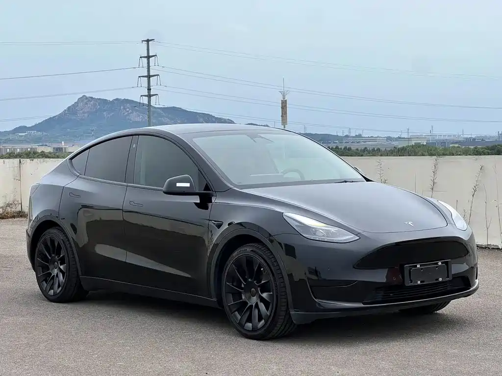 Tesla Model Y — миниатюра 4