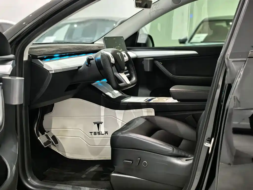 Tesla Model Y — миниатюра 7